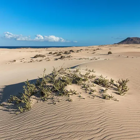 Home2book Pool & Tennis Court Cozy Apt, شقة كوراليهو