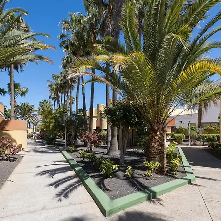 Home2book Pool & Tennis Court Cozy Apt, * Corralejo